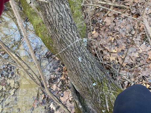 16DEFEAC A77C 4971 A0C6 C9E8A1ED43C5.jpg