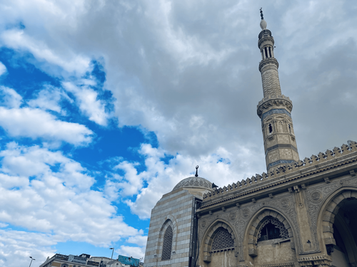 IMG E0505 min (1).png