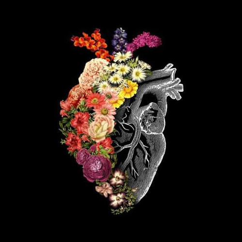 FB IMG 1500502060971(1).jpg