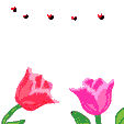 animated bee image 0152.gif