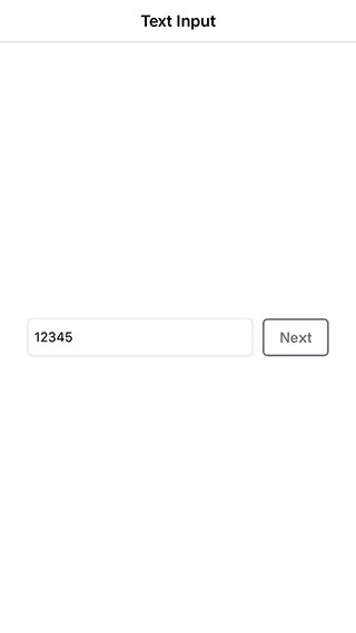 ios en 01.jpg