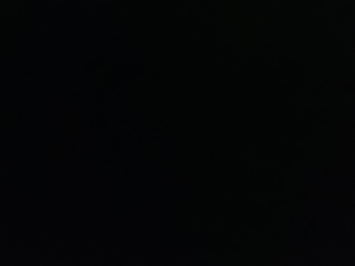 IMG 20230201 175500.jpg