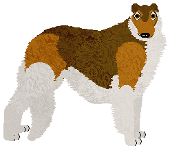 Agina.png