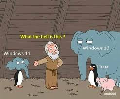images.jpg