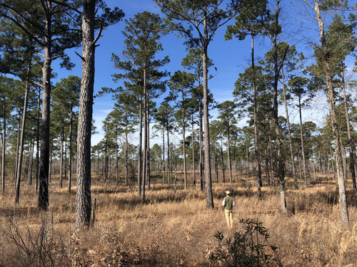 149595ED FB9D 4F8E A590 AC55A3DDD501.jpg