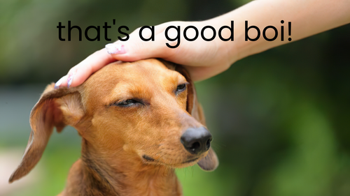 Good boi.png