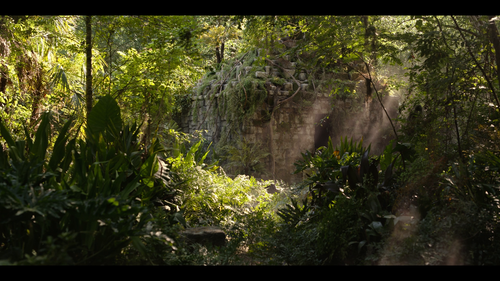 d5f7142351a1.png