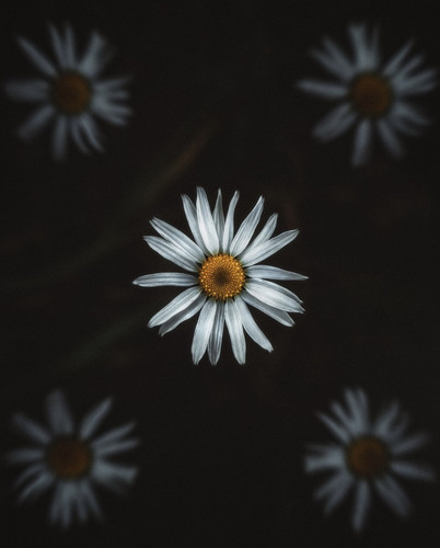 AE5FEF89 FD75 41E8 987D CECF245F9FCE.jpg