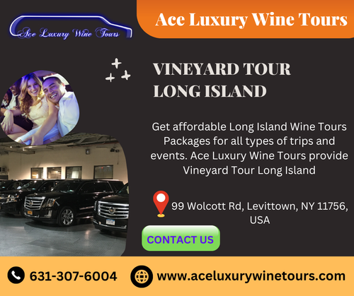 Vineyard Tour Long Island.png