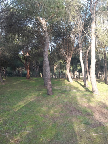20230214 101343.jpg