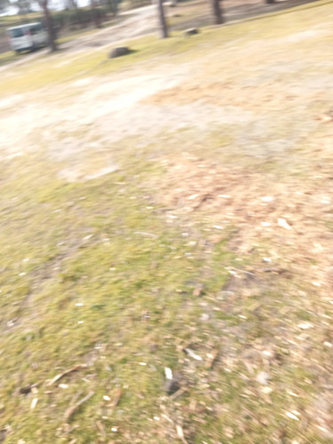 20230214 104019.jpg