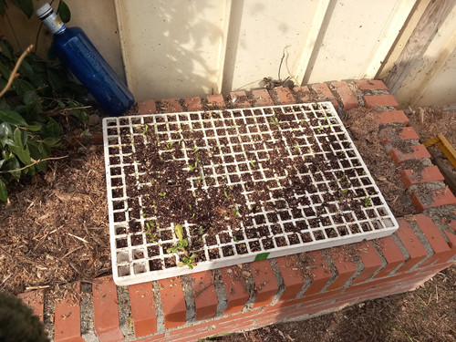 20230214 104344.jpg