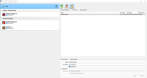 overall setup for nat network.png