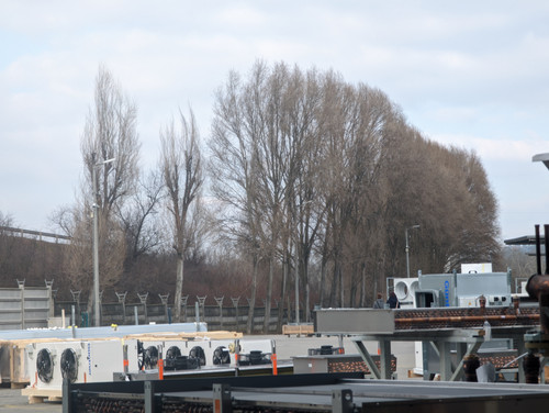 PXL 20230214 124207377.jpg