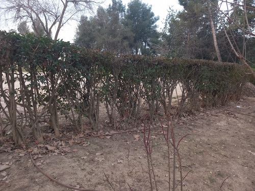 20230214 084227.jpg