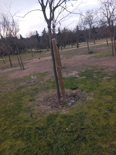 20230214 085243.jpg