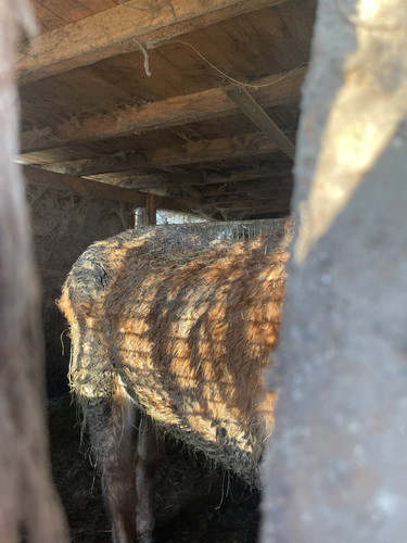 DBB5F242 051A 4A61 8122 A7A1F14CDBCA.jpg