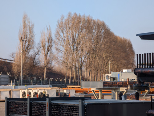 PXL 20230214 145121397.jpg