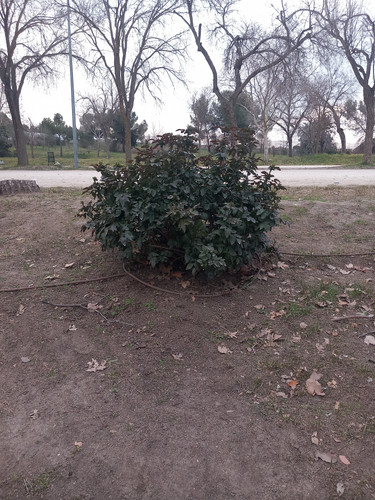 20230214 083756.jpg