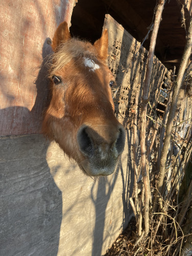 D7C70F82 EB72 4E18 851E F68C3F519667.jpg