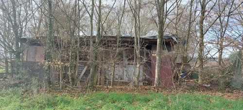 D5EB6AFB 4050 4254 BC27 E23145F93356.jpg