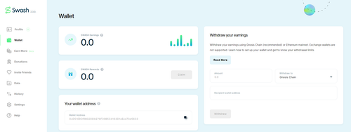 zzz swash wallet.png