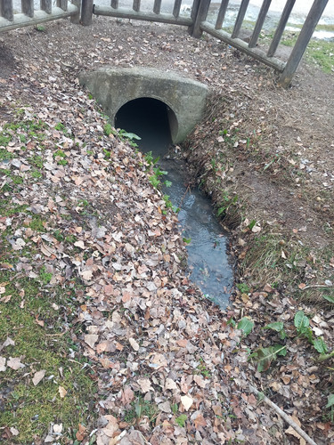20230214 090907.jpg