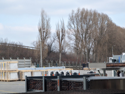 PXL 20230214 130640040.jpg