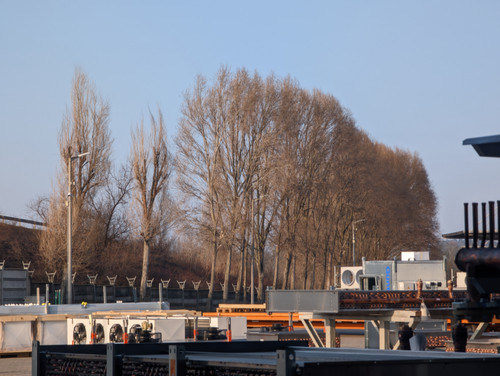 PXL 20230214 143745735.jpg