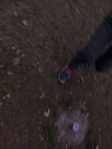 20230214 090337.jpg