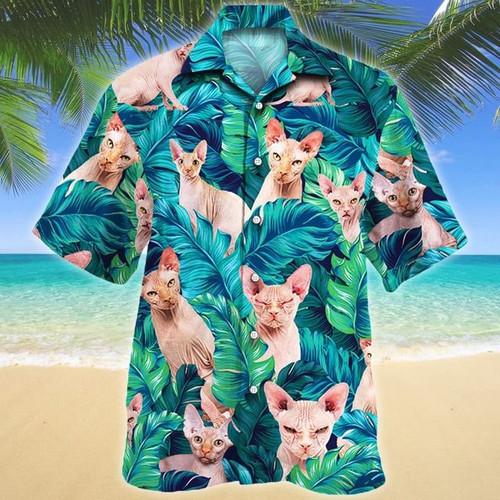 SPHYNX CATa.jpg