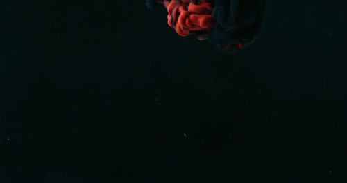 ezgif frame 002.jpg