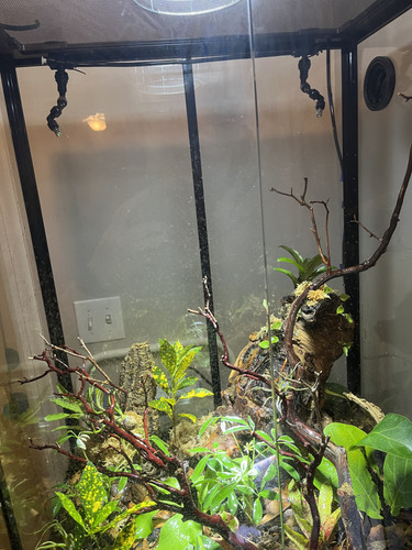 2195D888 B784 4D5B A2C0 FB712E5B82D0.jpg