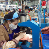 1879 CÔNG TY TNHH NGÀNH GIÀY APEX (VIỆT NAM)