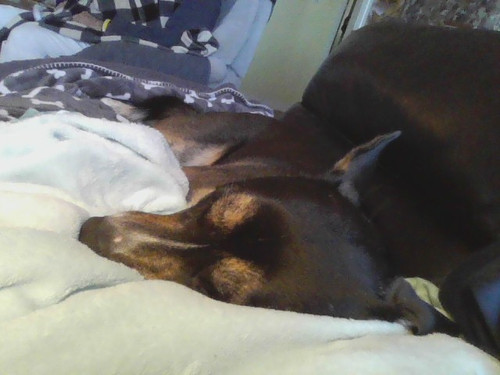 IMG 20230208 155140.jpg
