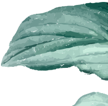 leaf.png