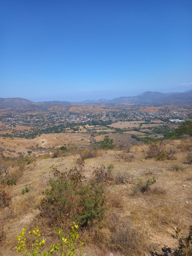 IMG 20221127 104005.jpg