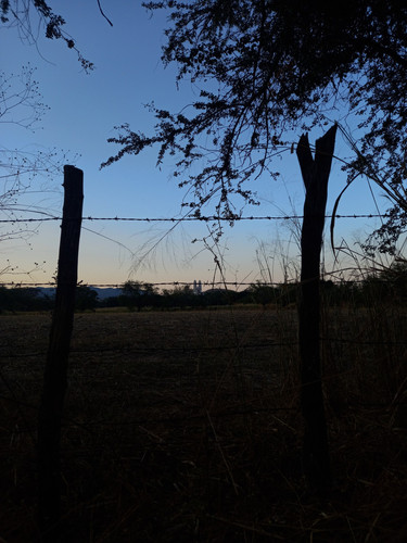 IMG 20221127 103524.jpg