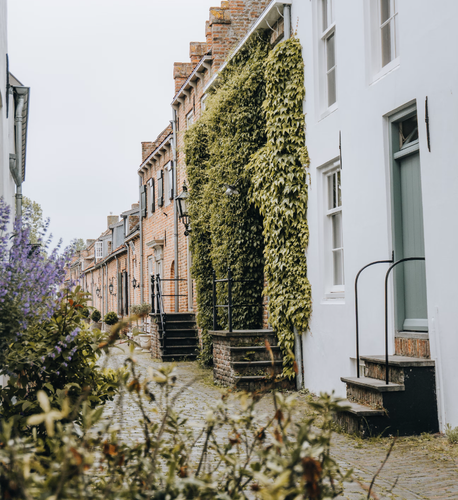 overlast van buren.png