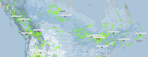 MicrosoftTeams image (2).png