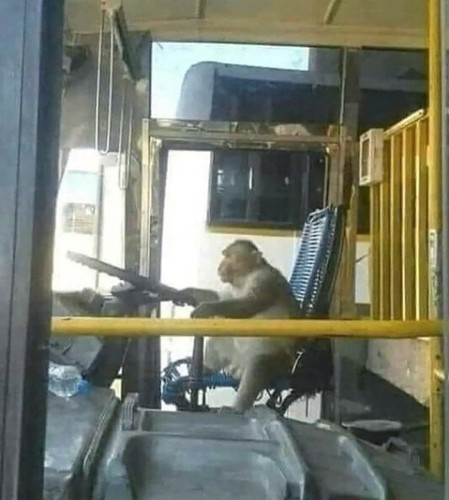WsLkfPjsc54.jpg