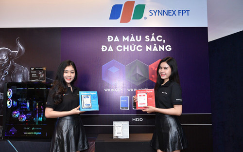 1927 CÔNG TY TNHH PHÂN PHỐI SYNNEX FPT.jpg