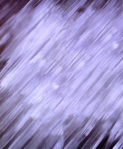 WWF 1990 PHOTO BACKGROUND7.png