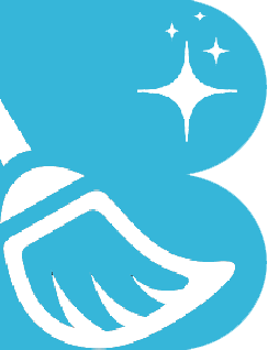 Bebersih icon.png