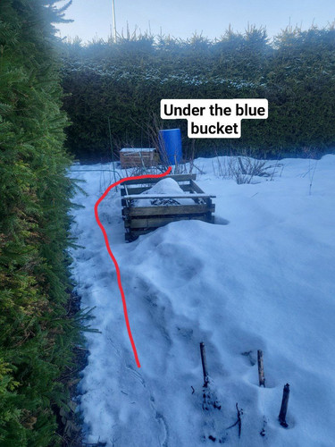 photo 2023 02 12 03 40 16.jpg