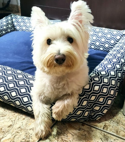 WhatsApp Image 2022 11 08 at 09.34.09.jpg