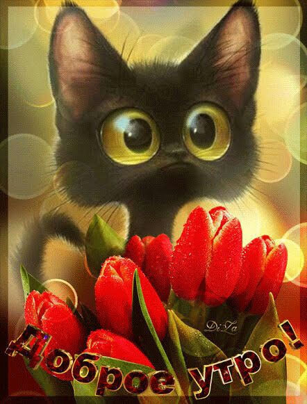 b8ebd1abdc3db9a5079130d39fe94896 (1).jpg