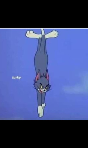 Screenshot ٢٠٢٣٠٢١٠ ١١٢٦٥١ Gallery.jpg