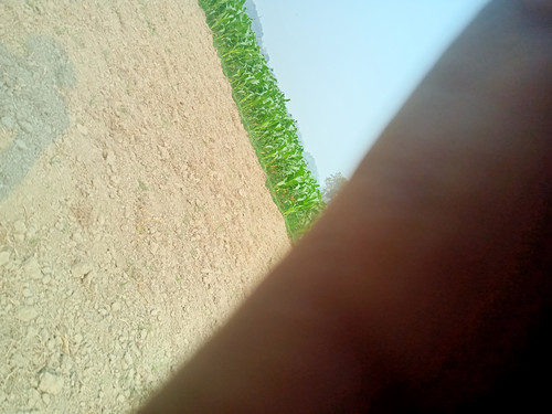IMG20230209103427.jpg