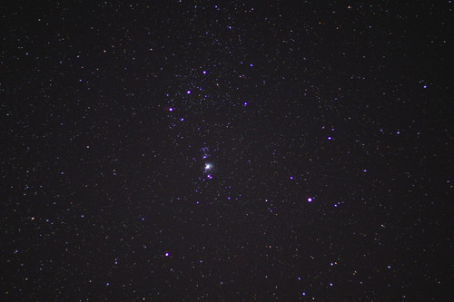 IMG 2870 Enhanced.jpg